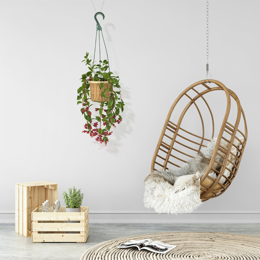 Spider Plant Hanging - 5-teiliges Set Haken für Hängepflanzen, Platzsparender