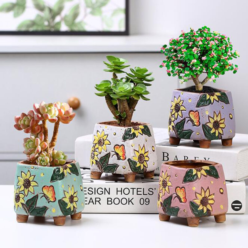 Koreanischen Stil Sonnenblumen – Echeveria Succulent Bewertung und Preis