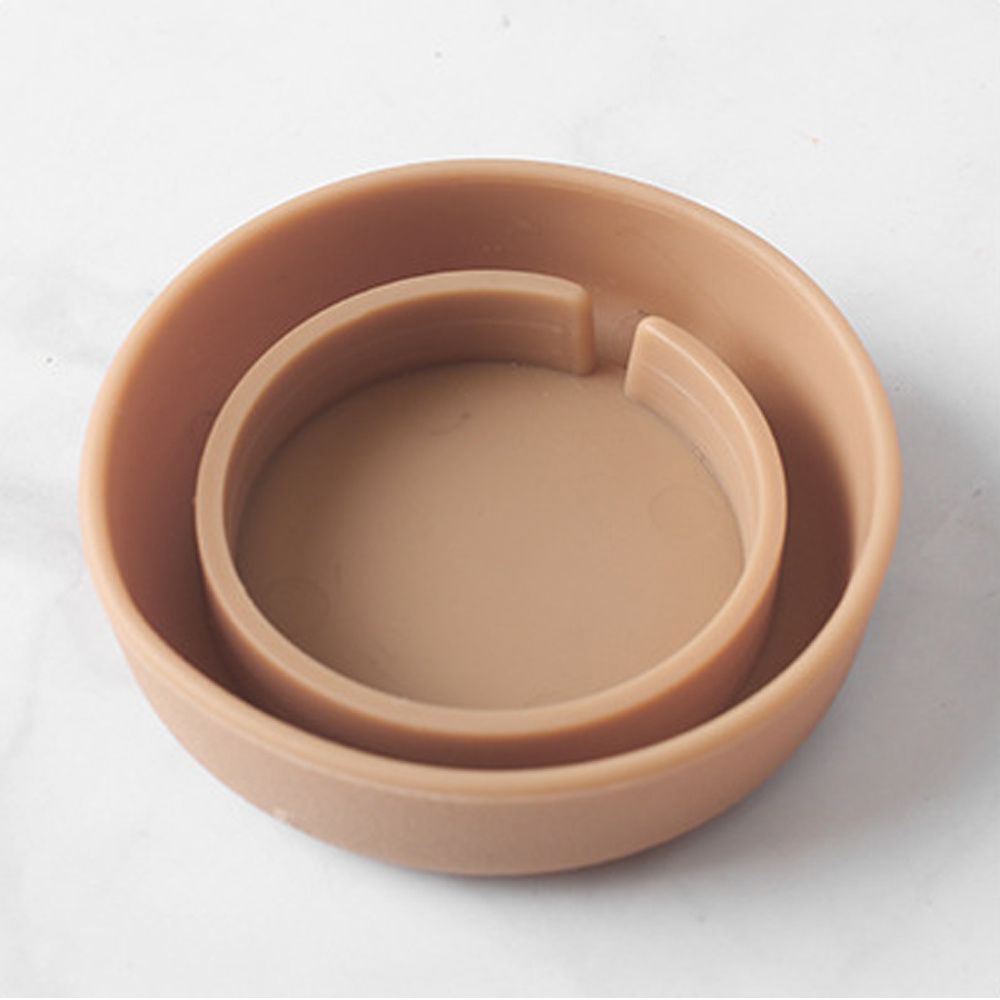 Runder Kaktus-Sukkulenten-Blum – Echeveria Succulent Bewertung und Preis