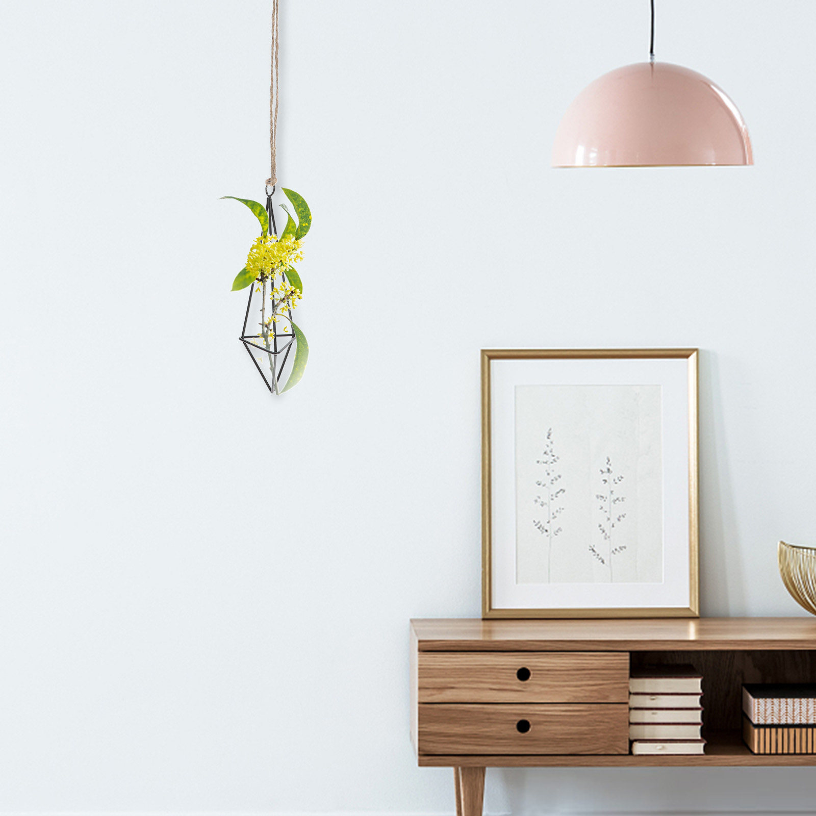 Metall-Luftpflanzenhalter, hän – Spider Plant Hanging Bewertung und Preis