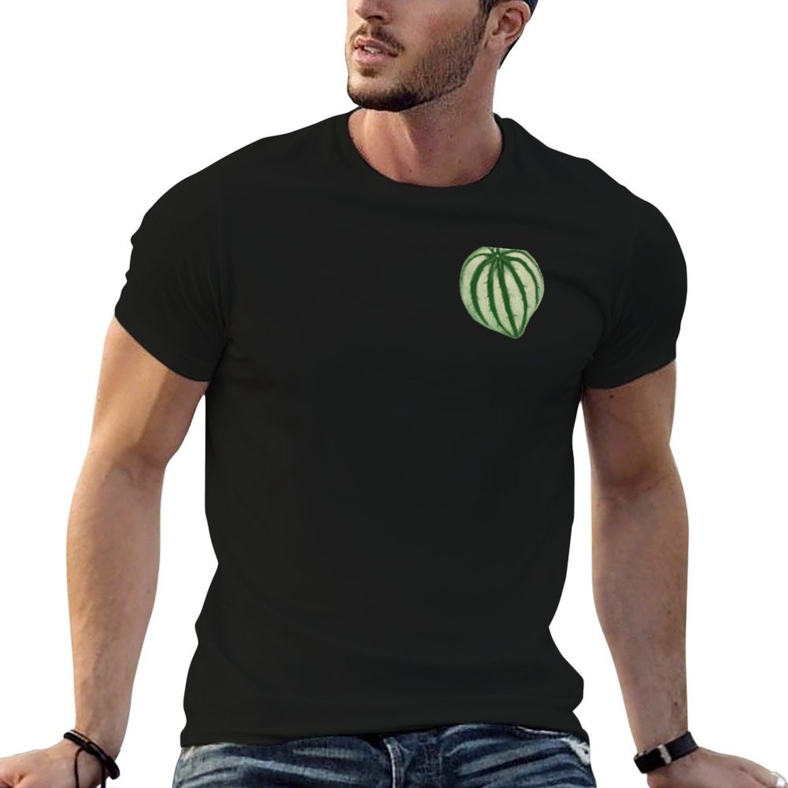 Watermelon Peperomia T-Shirt D – Peperomia Watermelon Bewertung und Preis