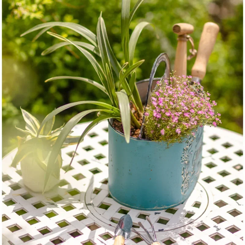 Blauer hängender Wandpflanzer  – Spider Plant Hanging Bewertung und Preis